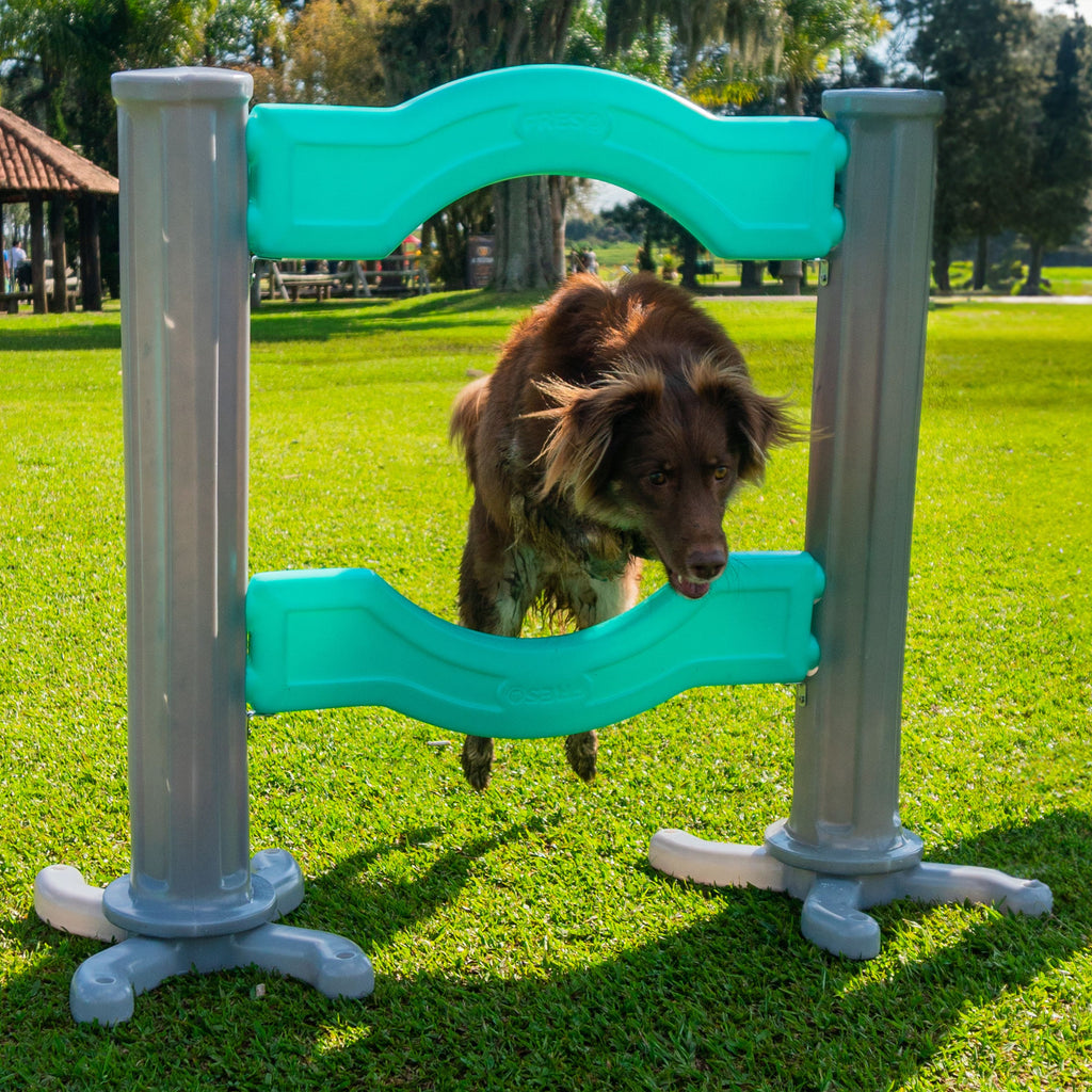 Barra de Salto Pet Agility Spring Cachorro Freso 5