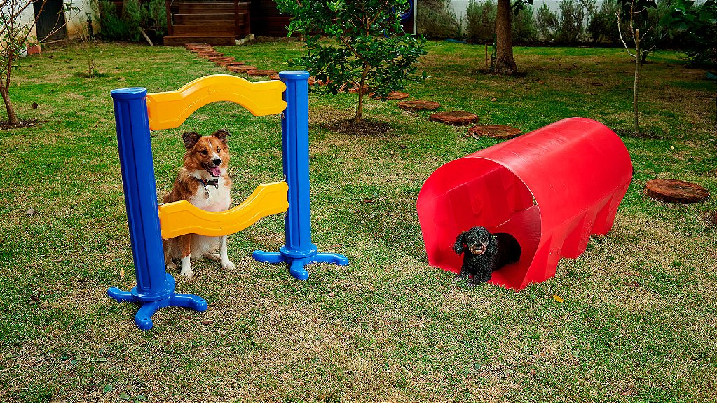Kit Pet Agility Esporte para Cachorro Freso 2