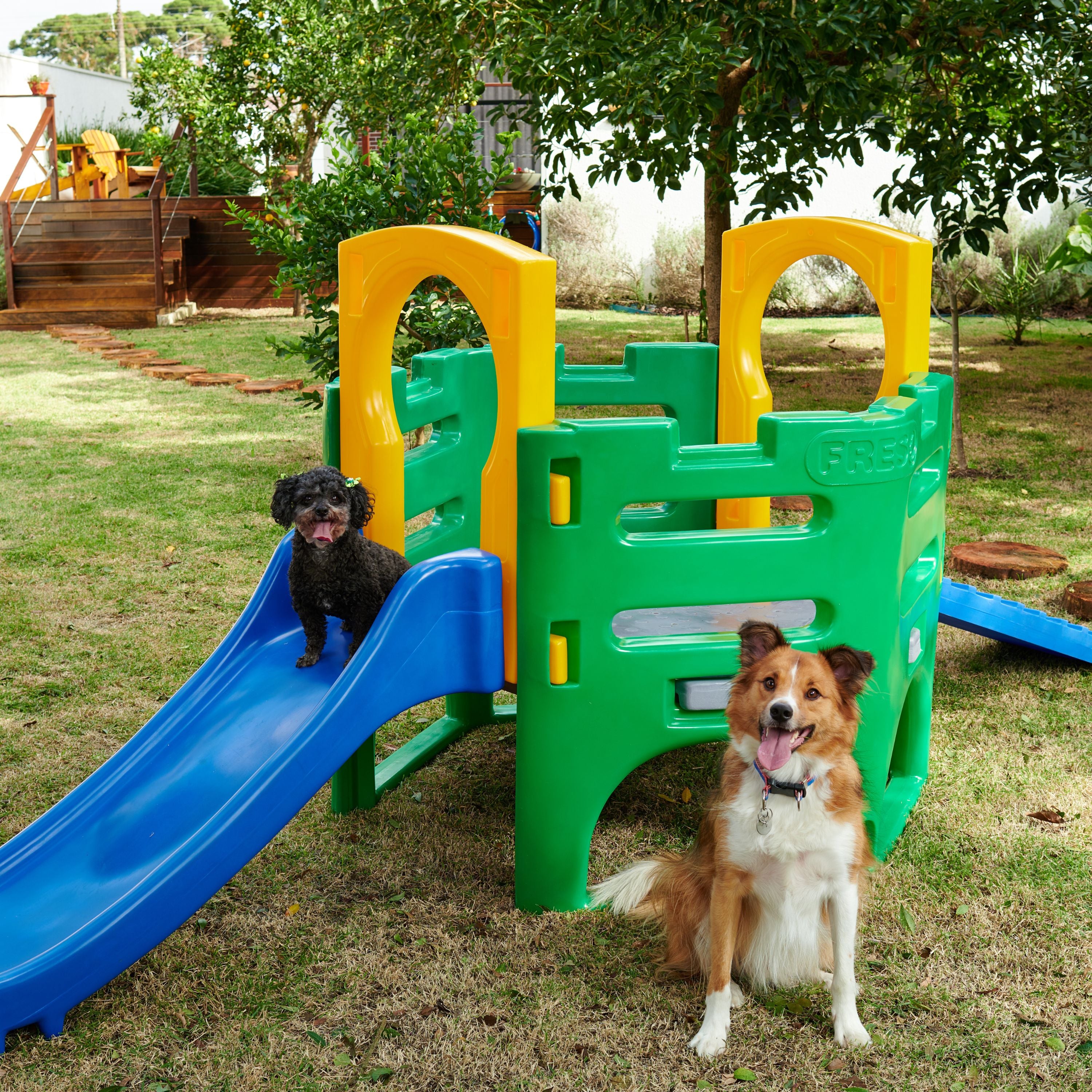 Kit Diversão Pet Playground e Piscina Freso 2