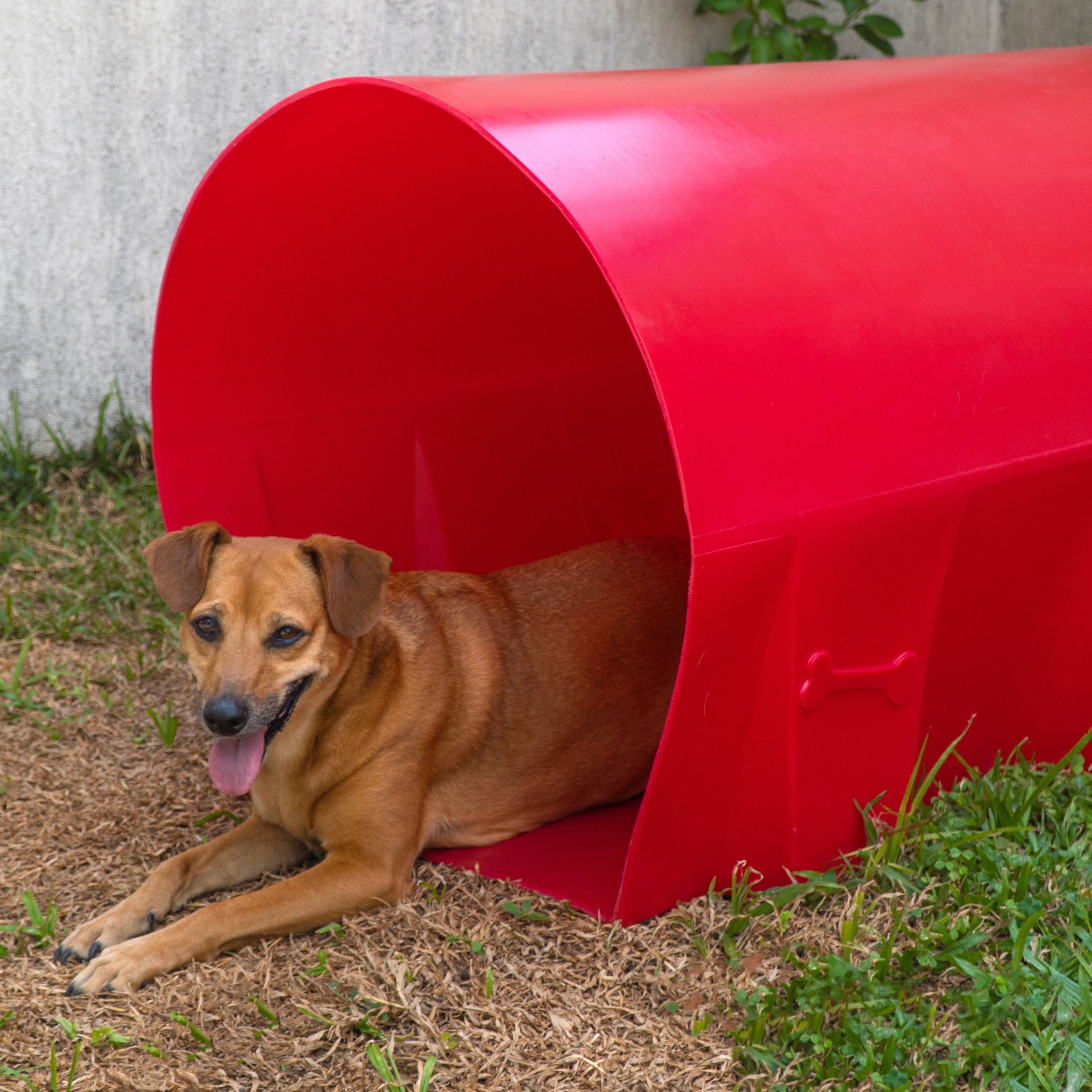 Túnel para Cachorro Agility Pet Freso 3