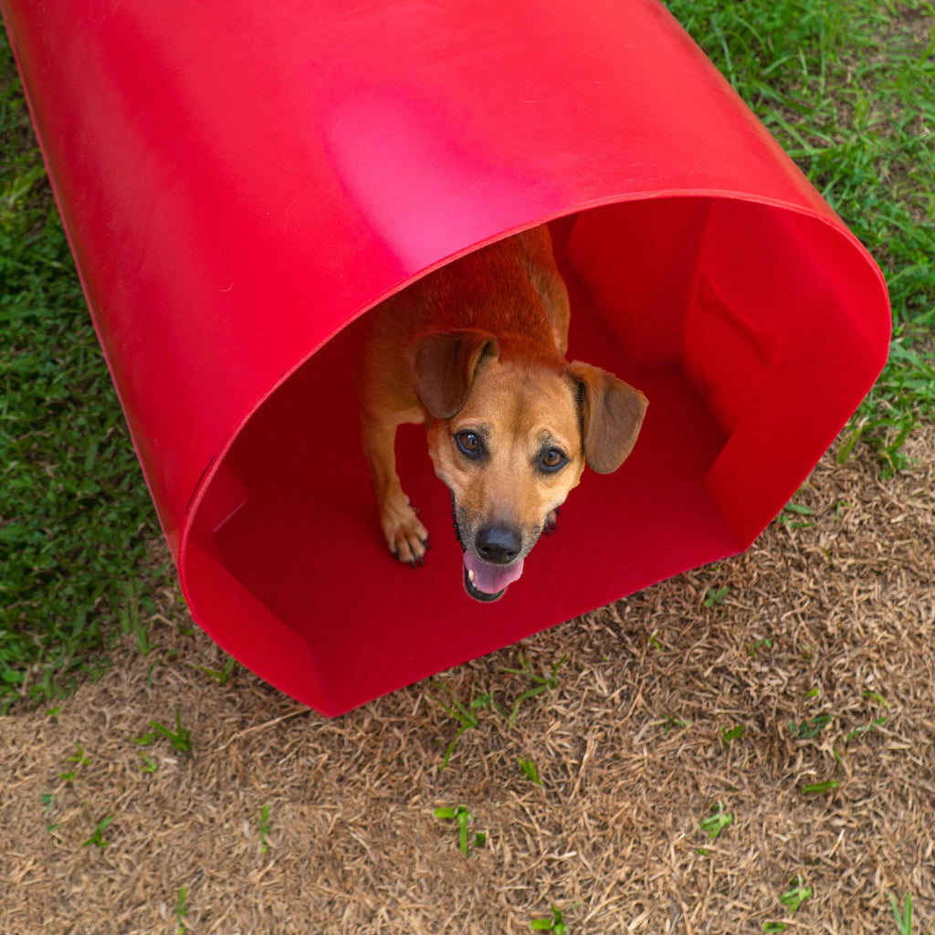 Túnel para Cachorro Agility Pet Freso 4