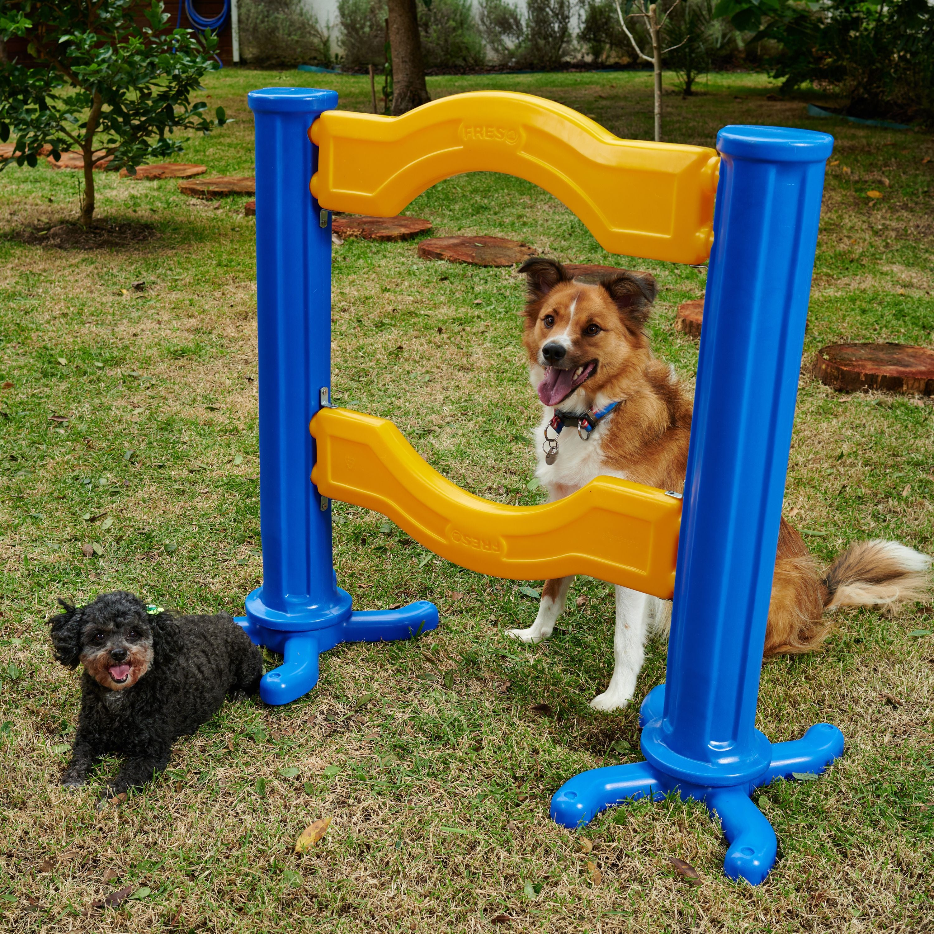 Barra para Salto Simples Agility Freso 5