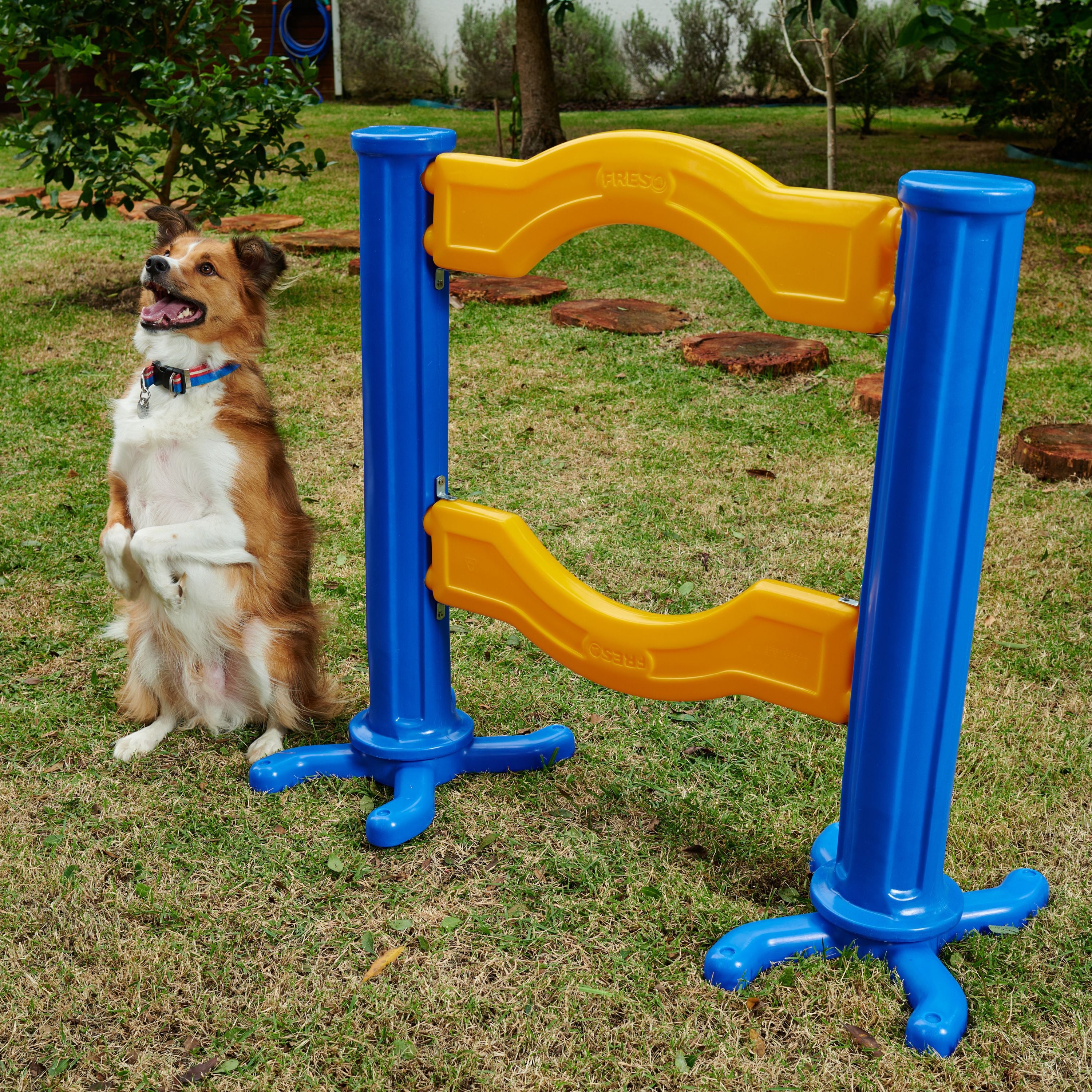 Barra para Salto Simples Agility Freso 4