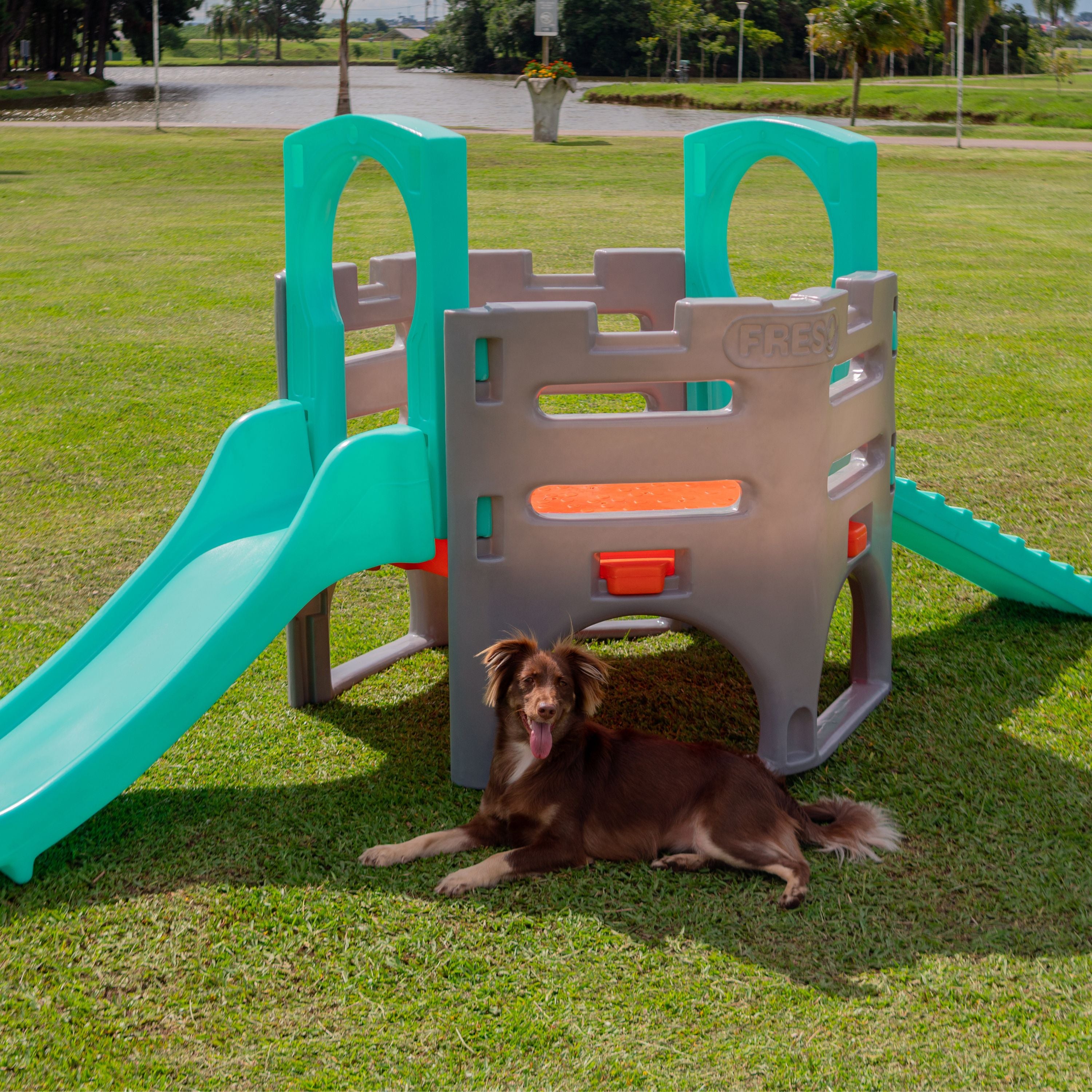 Kit Pet Friendly Spring Cachorro Freso 2