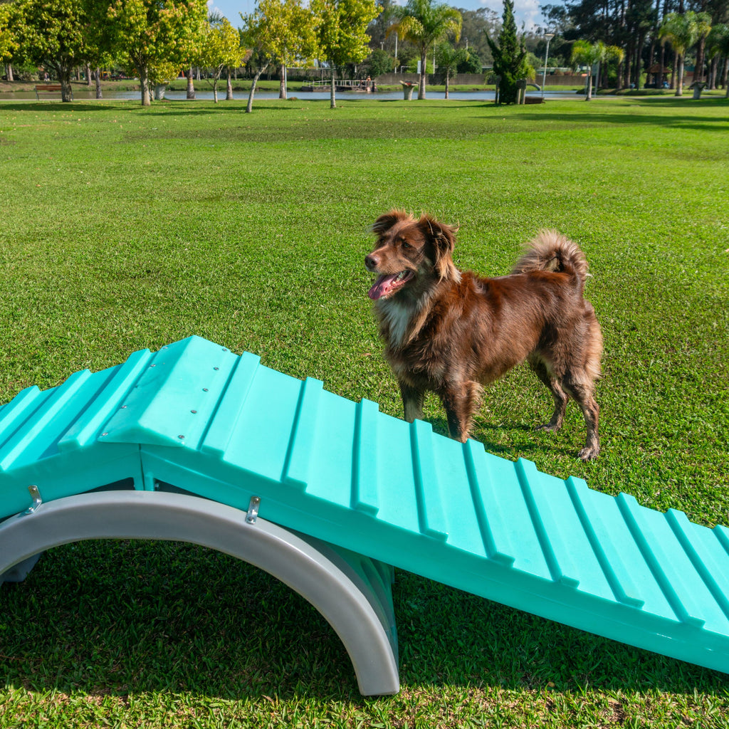 Rampa Escalada Grande Pet Agility Spring Cachorro Freso 2
