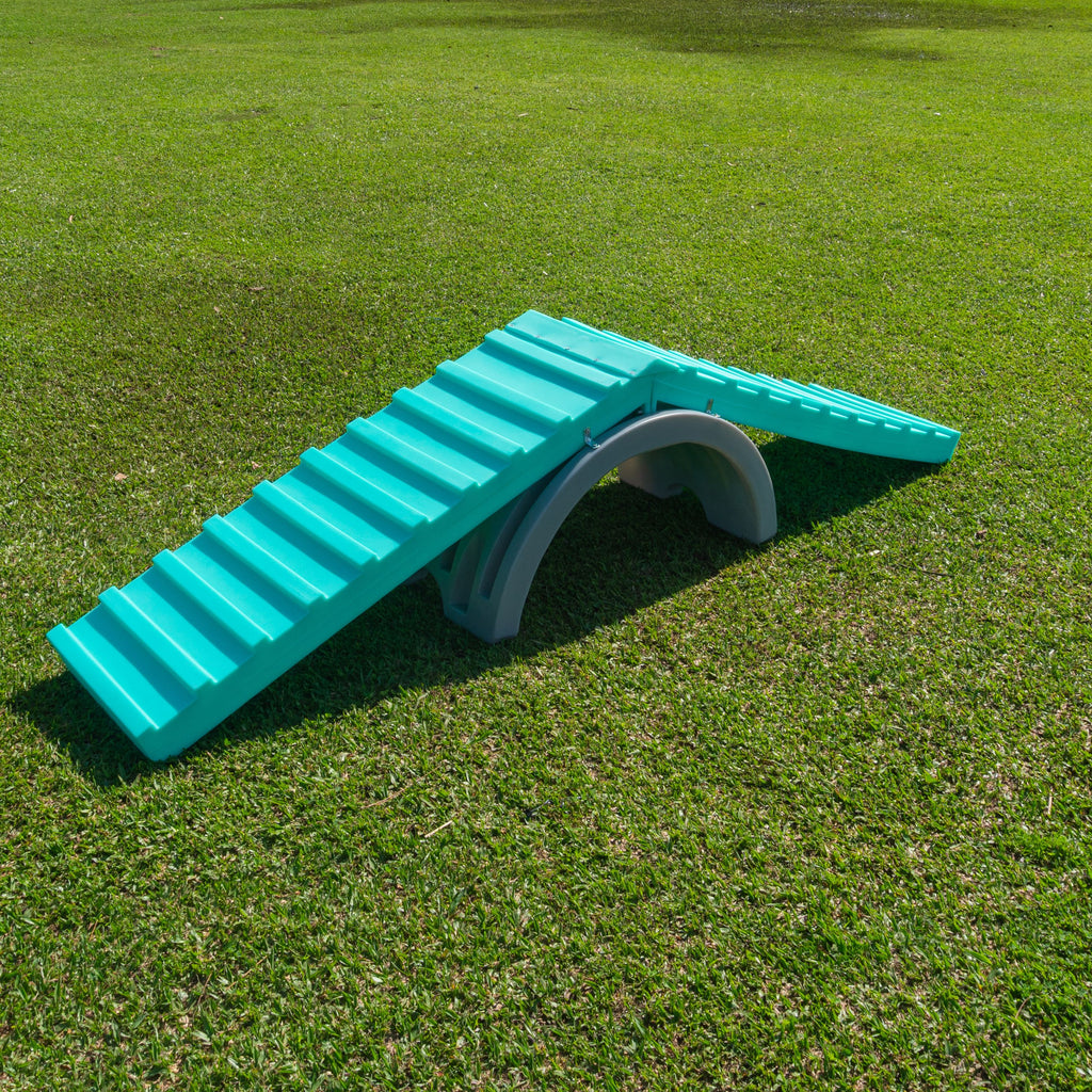 Rampa Escalada Grande Pet Agility Spring Cachorro Freso 5