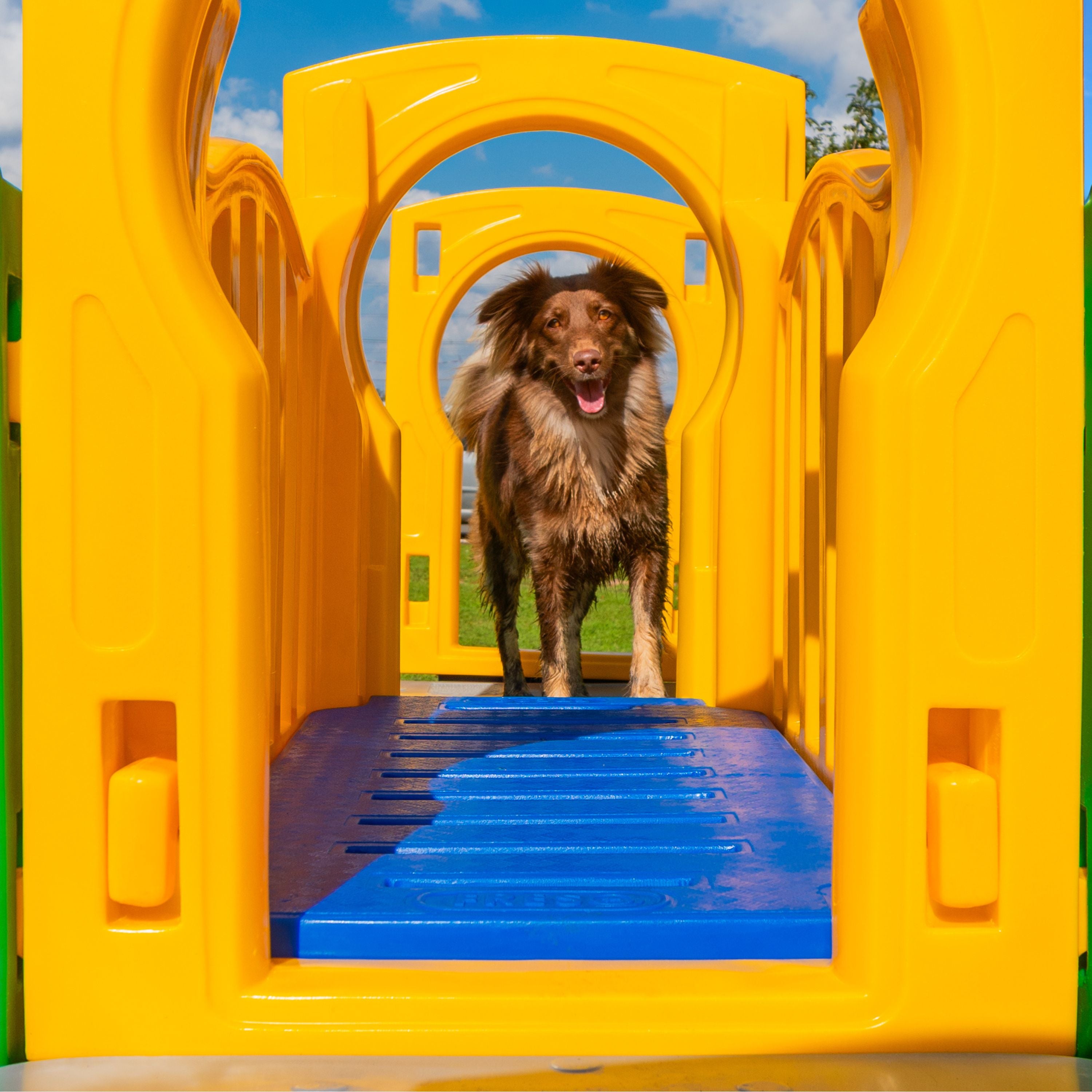 Playground Pet Miniplay Parque Duplo Cachorro Freso 3