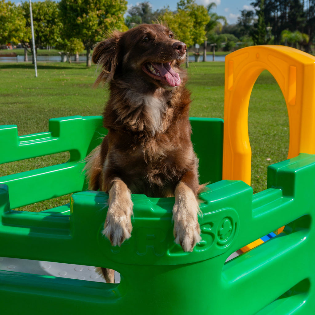 Playground Pet Miniplay Parque Duplo Cachorro Freso 4