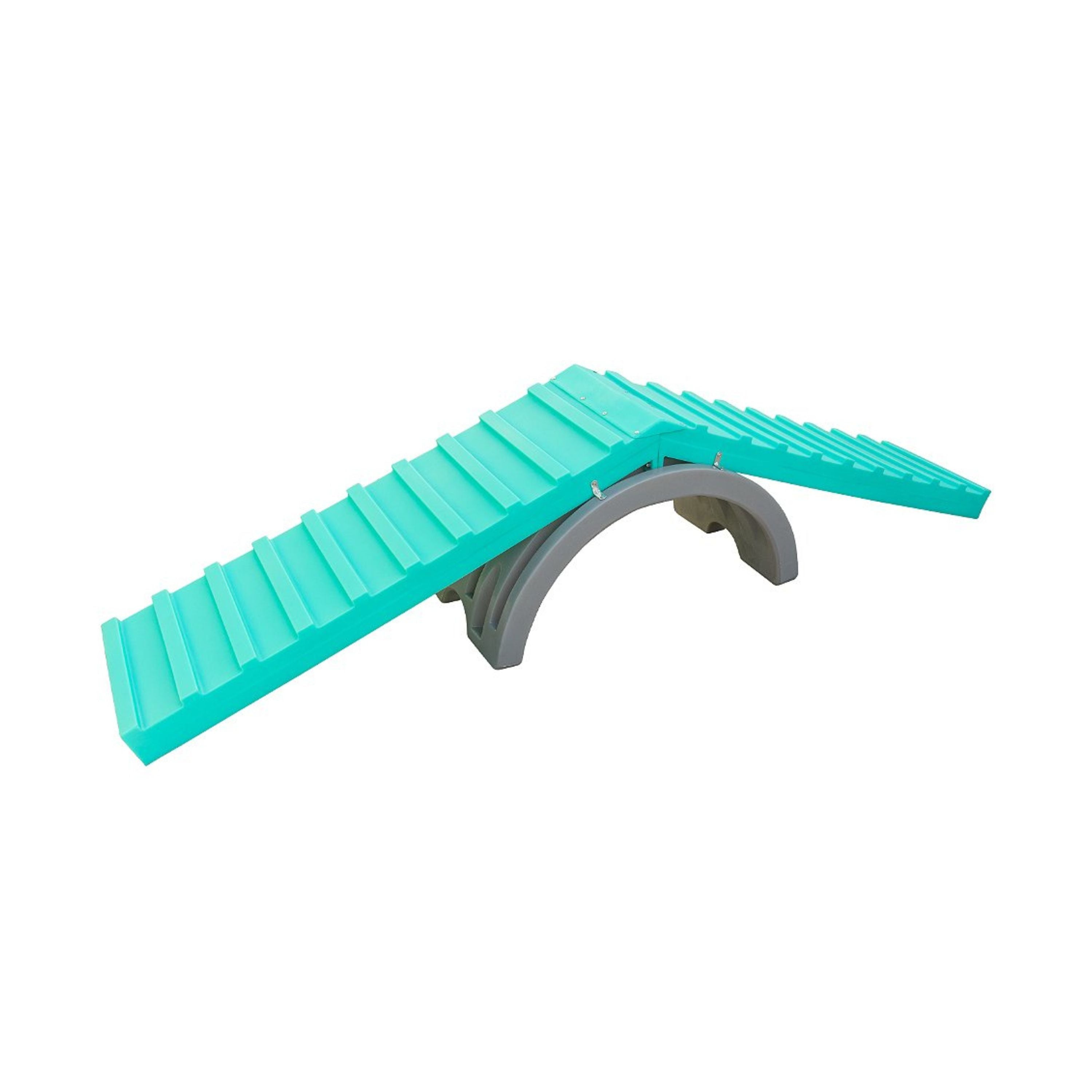 Rampa Escalada Grande Pet Agility Spring Cachorro Freso