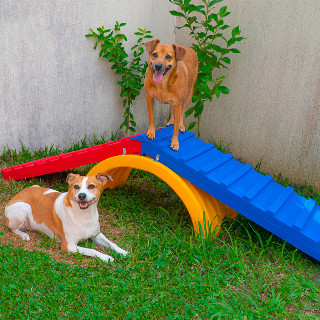 Rampa para Cachorro Escalada Agility Grande Freso 2