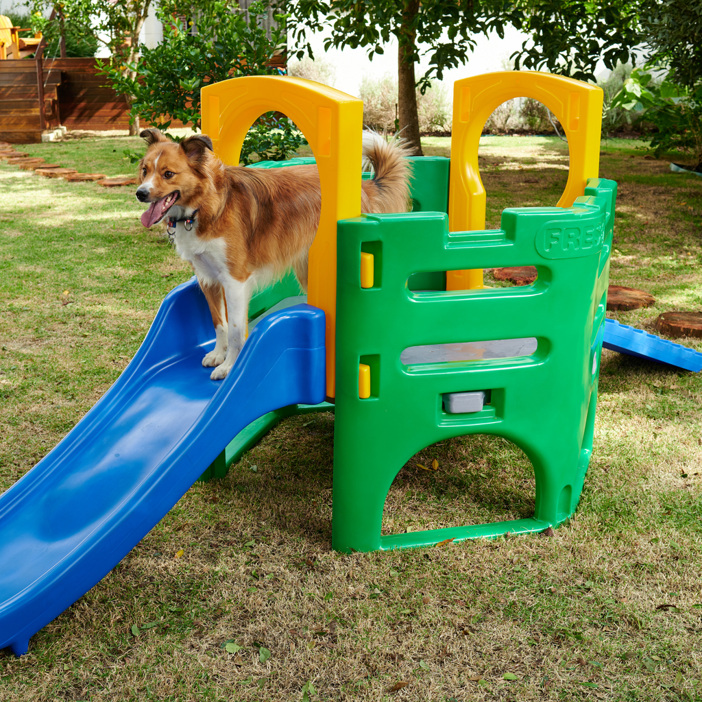 Playground Pet Miniplay Cachorro e Gato Freso 2