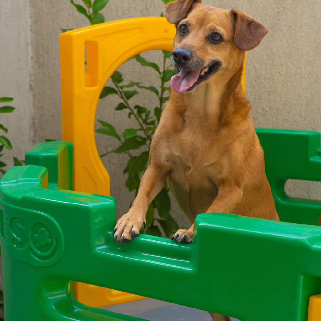 Playground Pet Miniplay Cachorro e Gato Freso 3