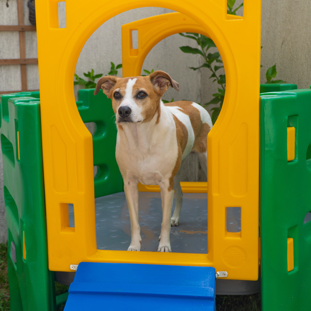 Playground Pet Miniplay Cachorro e Gato Freso 4