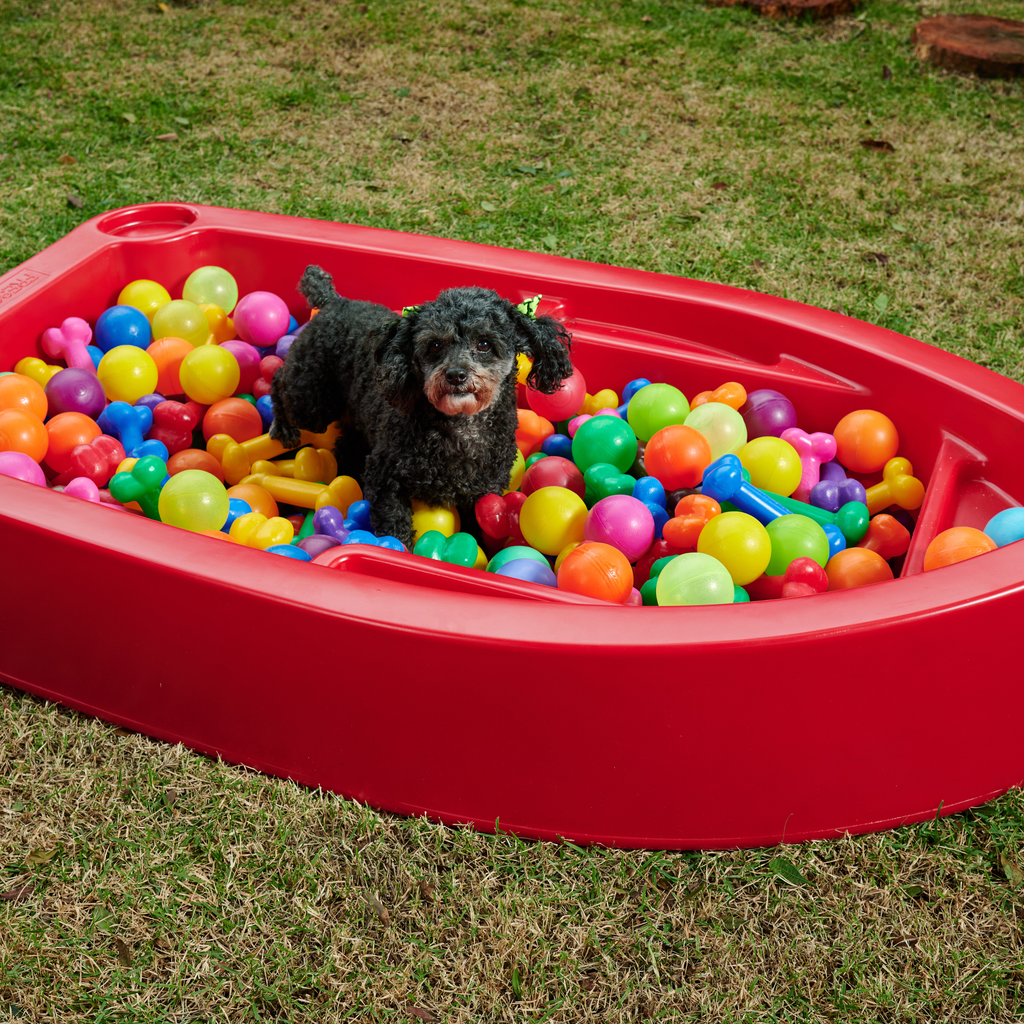 Piscina para Cachorro Barquinho Pet Freso 3