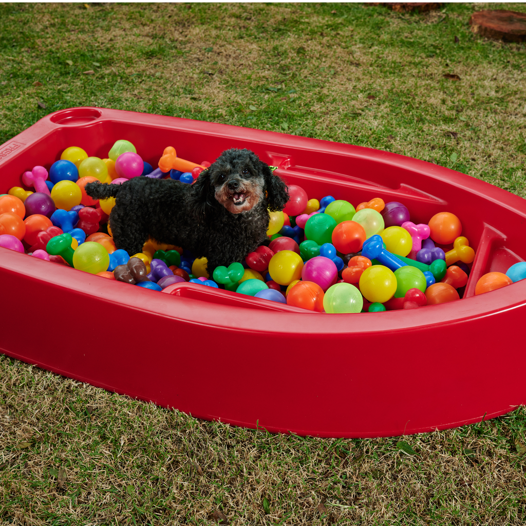 Piscina para Cachorro Barquinho Pet Freso 4