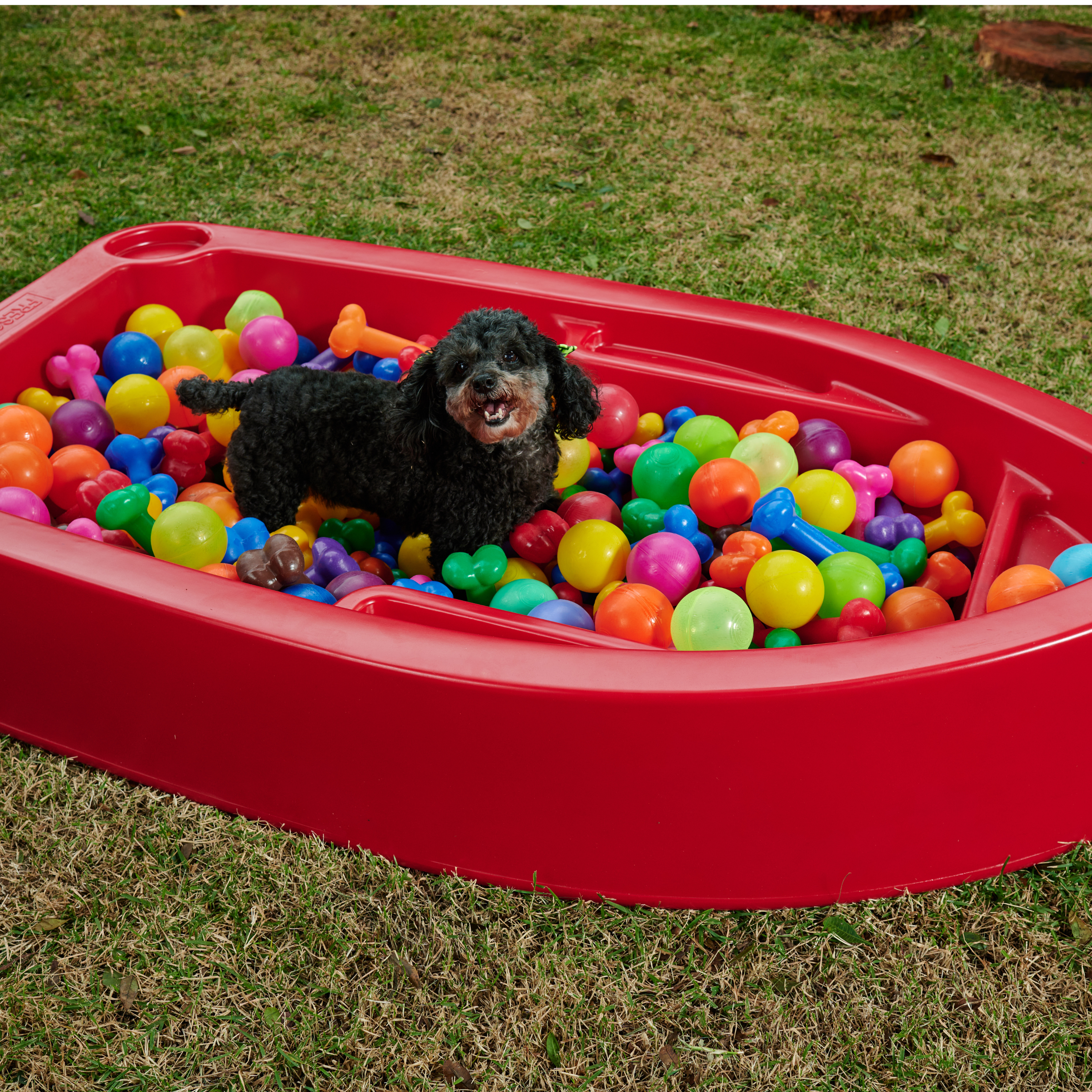 Piscina para Cachorro Barquinho Pet Freso 4