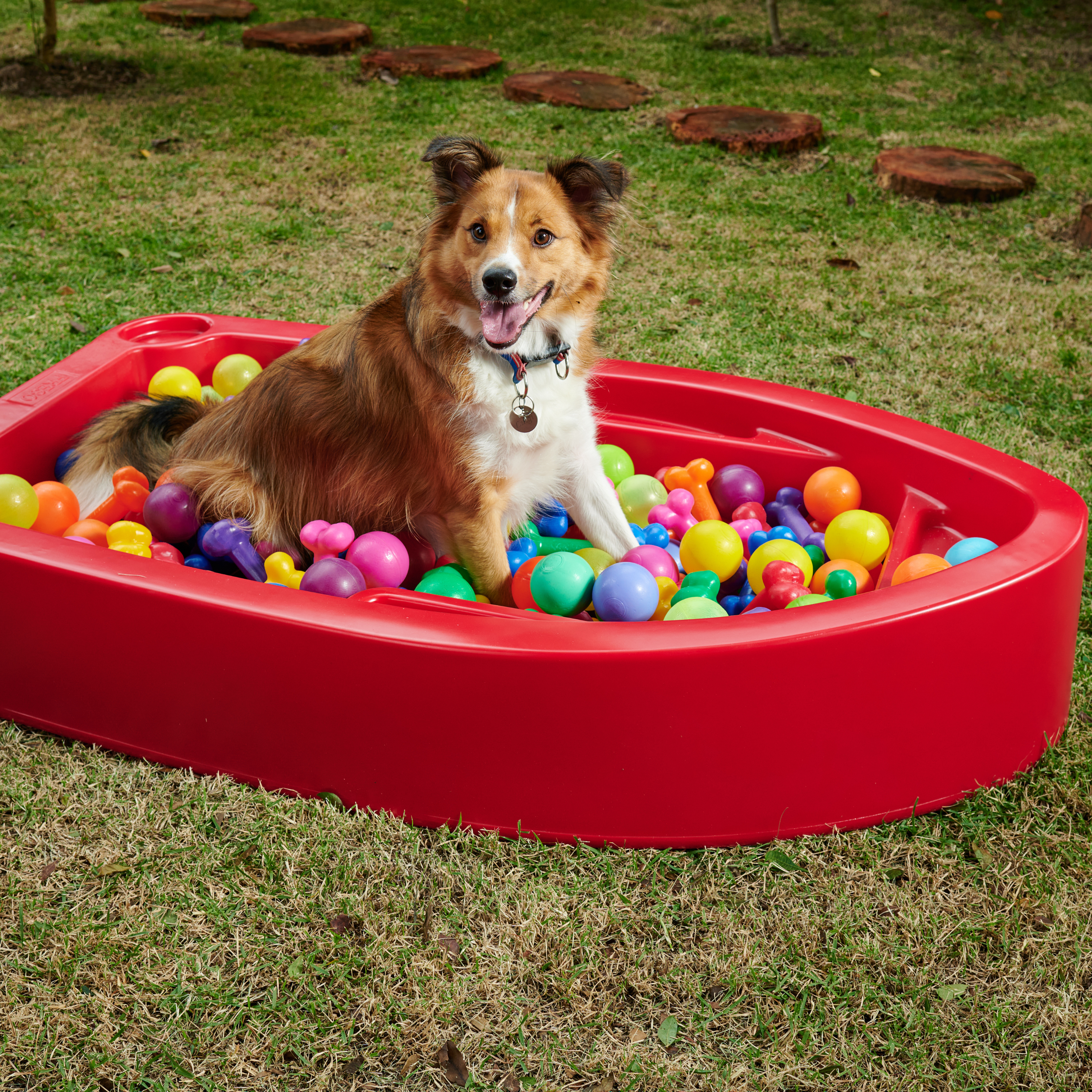 Piscina para Cachorro Barquinho Pet Freso 2