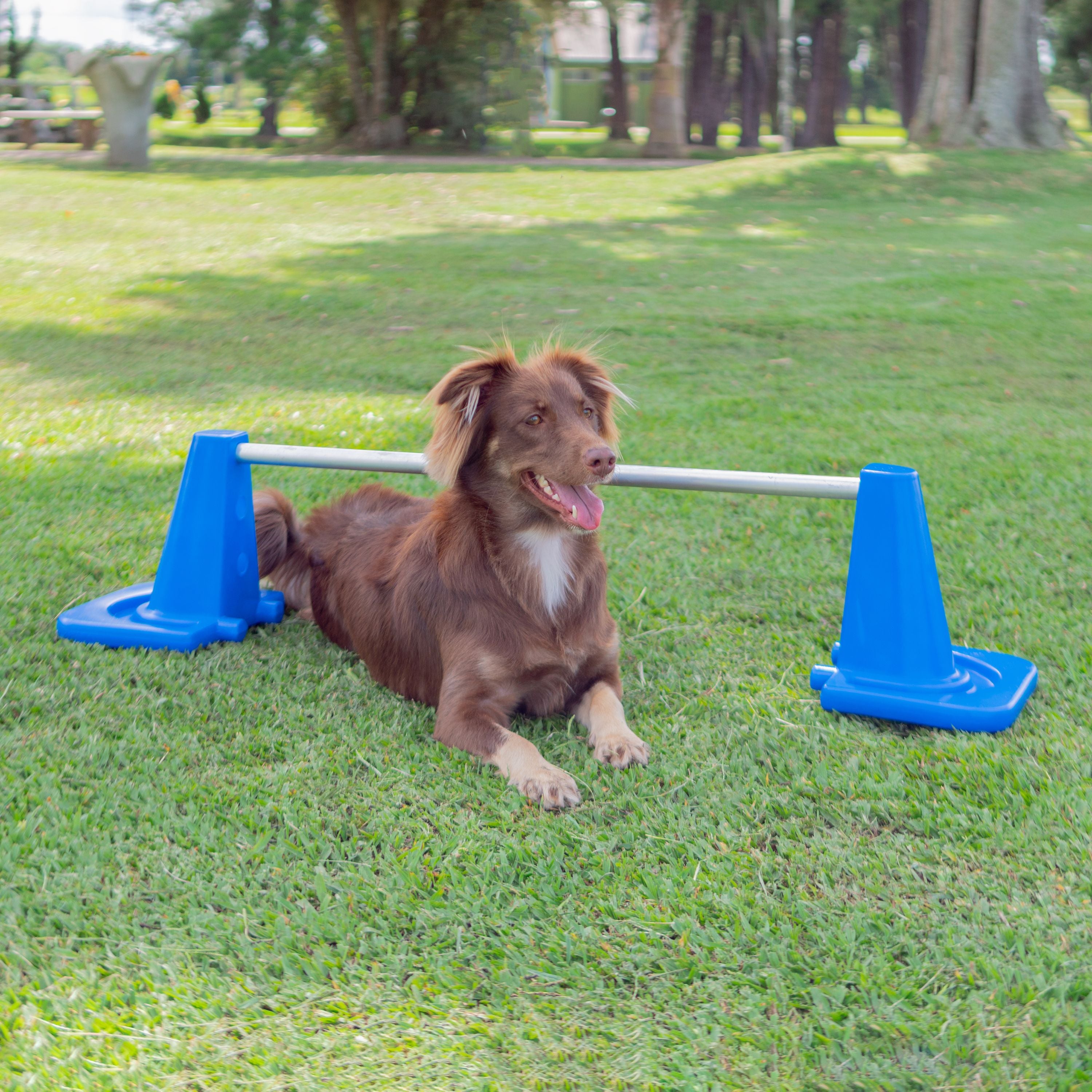 Barra de Salto Mini Pet Agility Freso 3