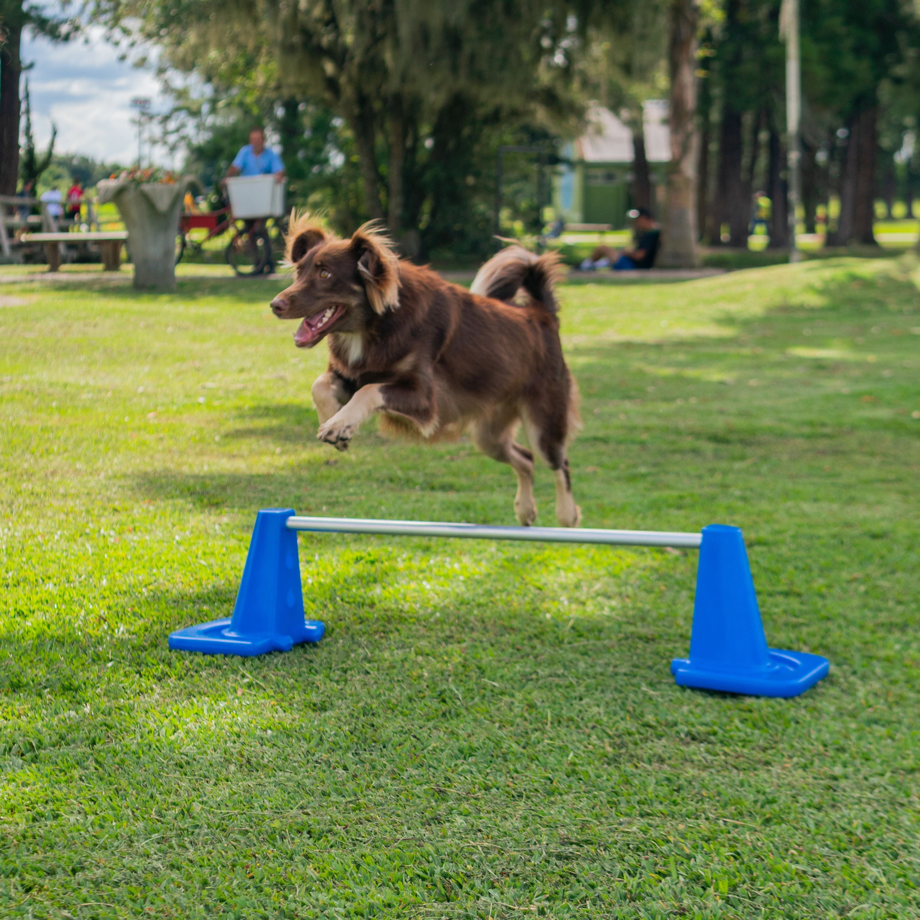 Barra de Salto Mini Pet Agility Freso 5