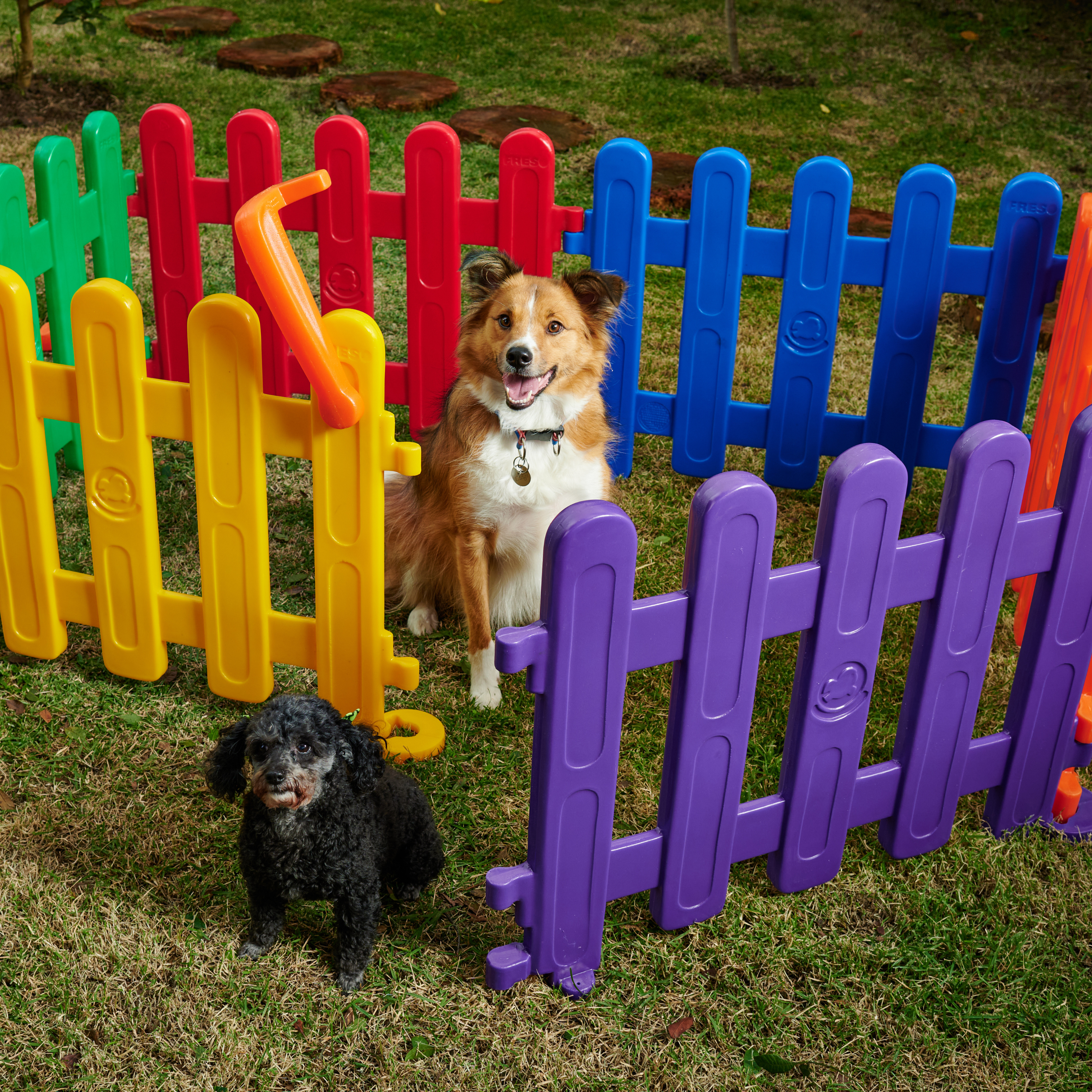Cercado para Cachorro com Portão 6 peças Freso 5