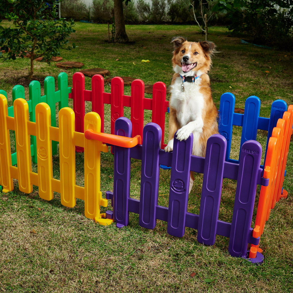 Cercado para Cachorro com Portão 6 peças Freso 2