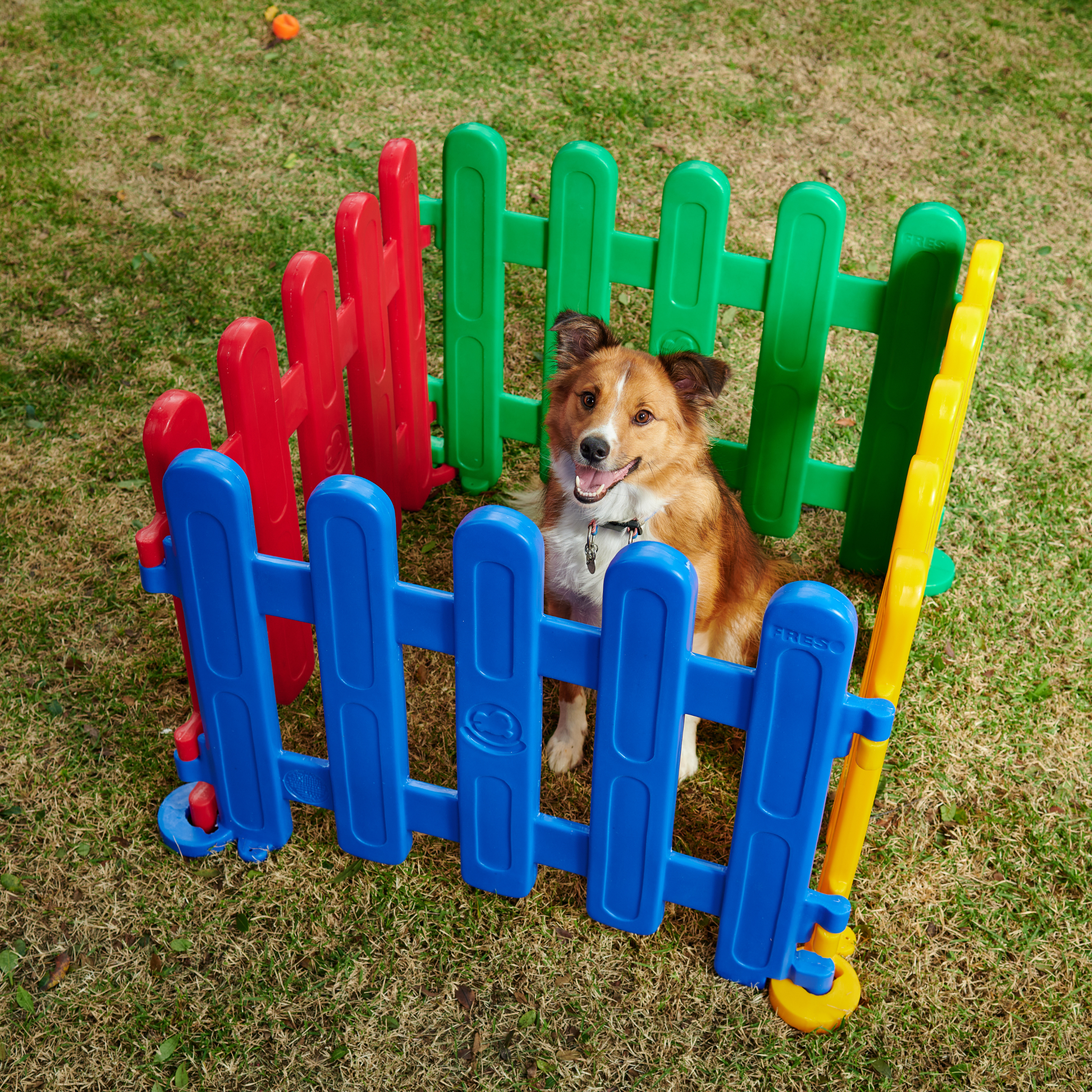 Cercado para Cachorro 4 peças Freso 2