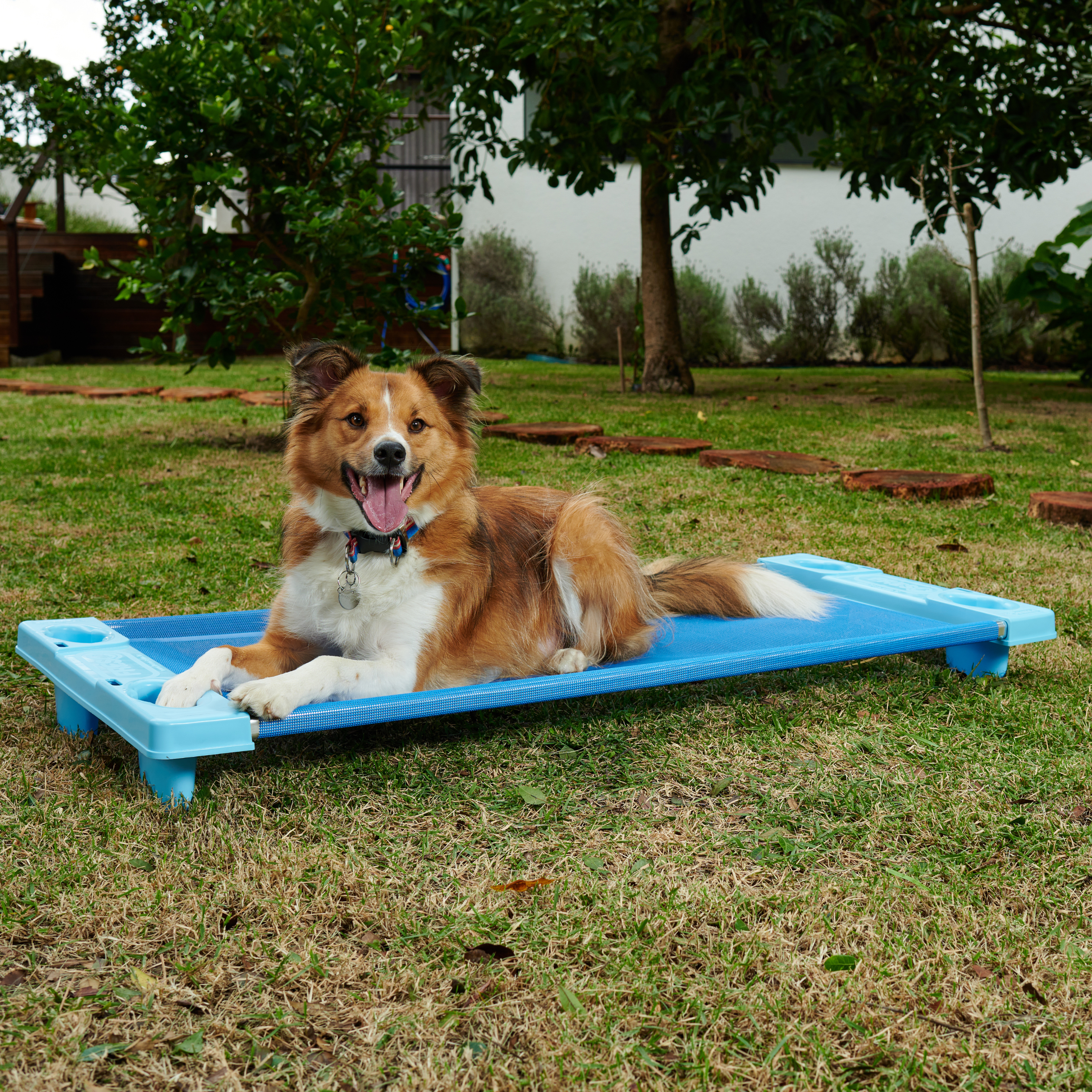 Caminha Grande Para Pet Empilhável Freso 3