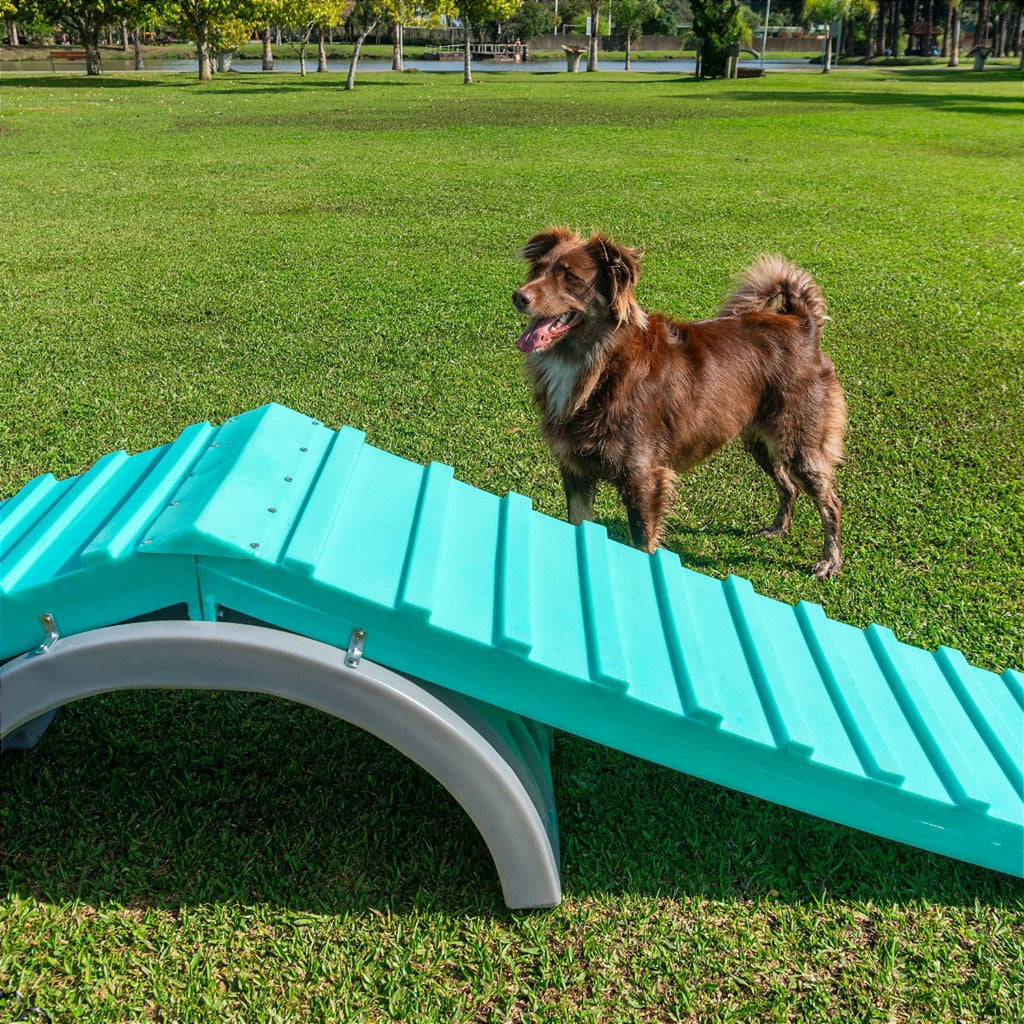 Kit Pet Friendly Spring Cachorro Freso 4