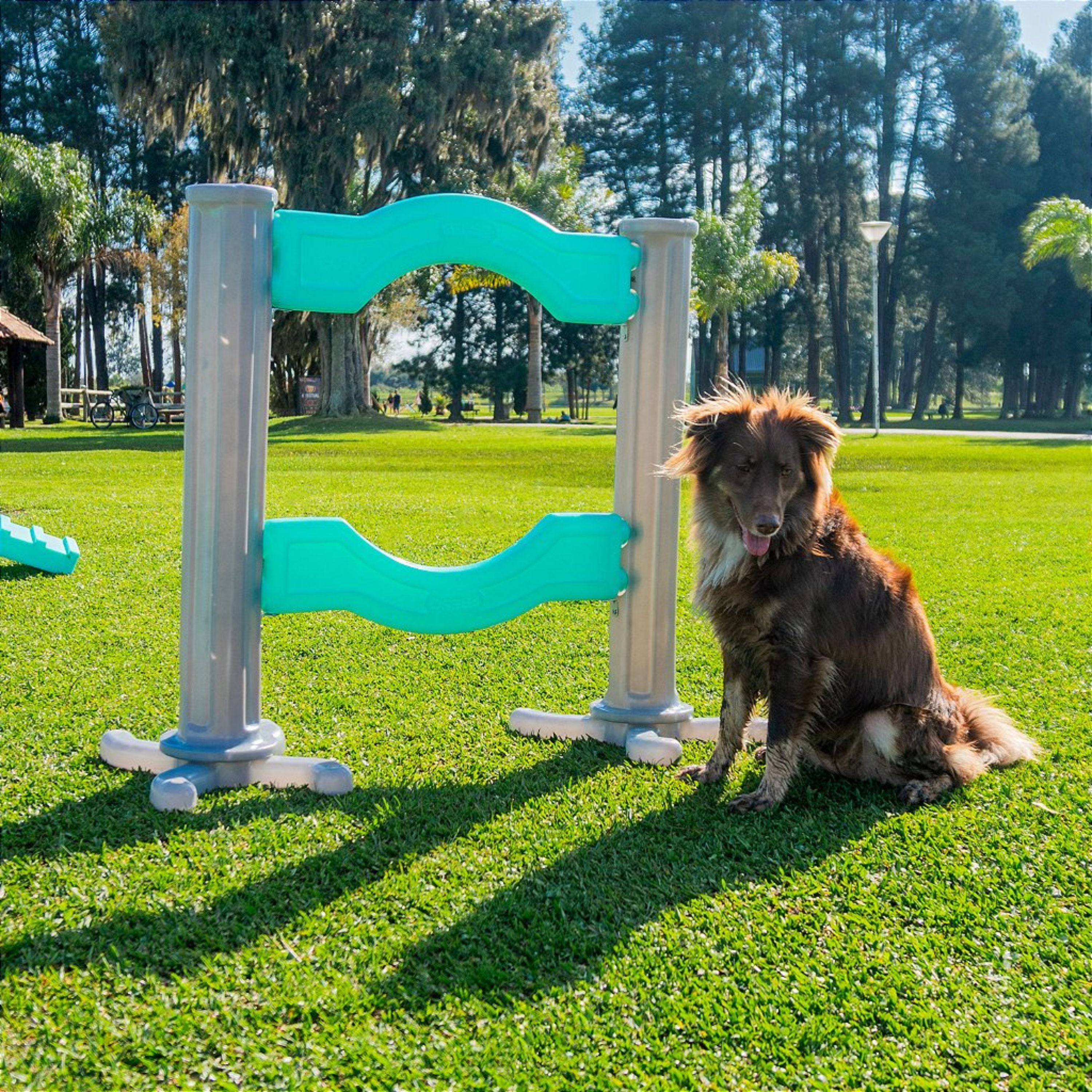 Kit Pet Friendly Spring Cachorro Freso 3