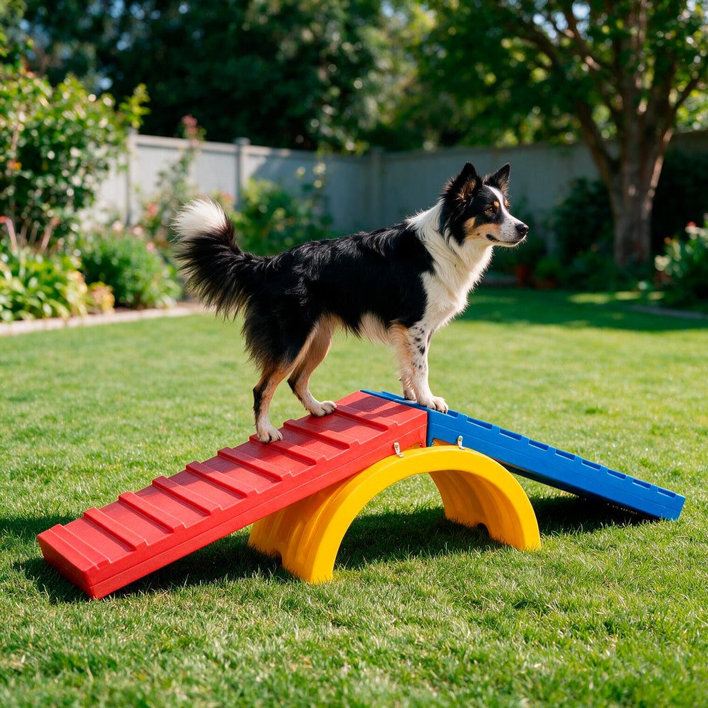 Rampa para Cachorro Escalada Agility Grande Freso