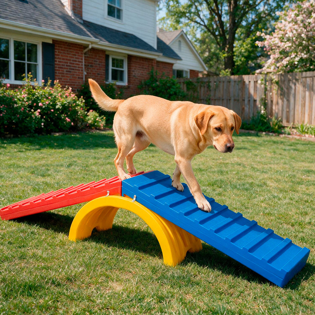 Rampa para Cachorro Escalada Agility Grande Freso