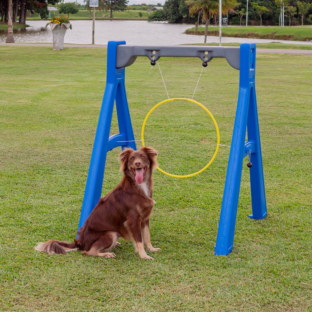 Arco para Salto Agility Freso 3